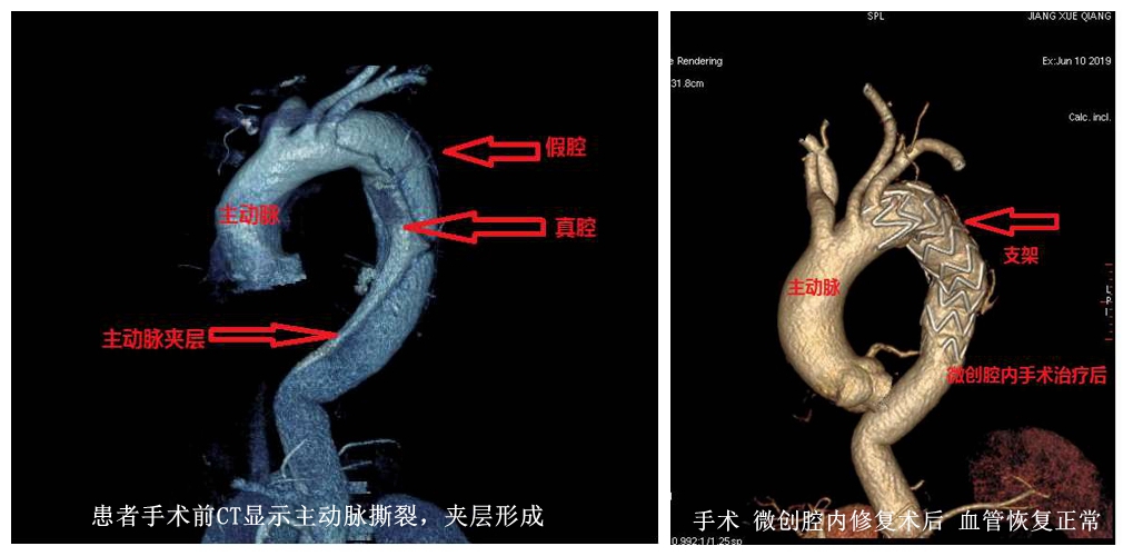 NeoImage_副本.jpg