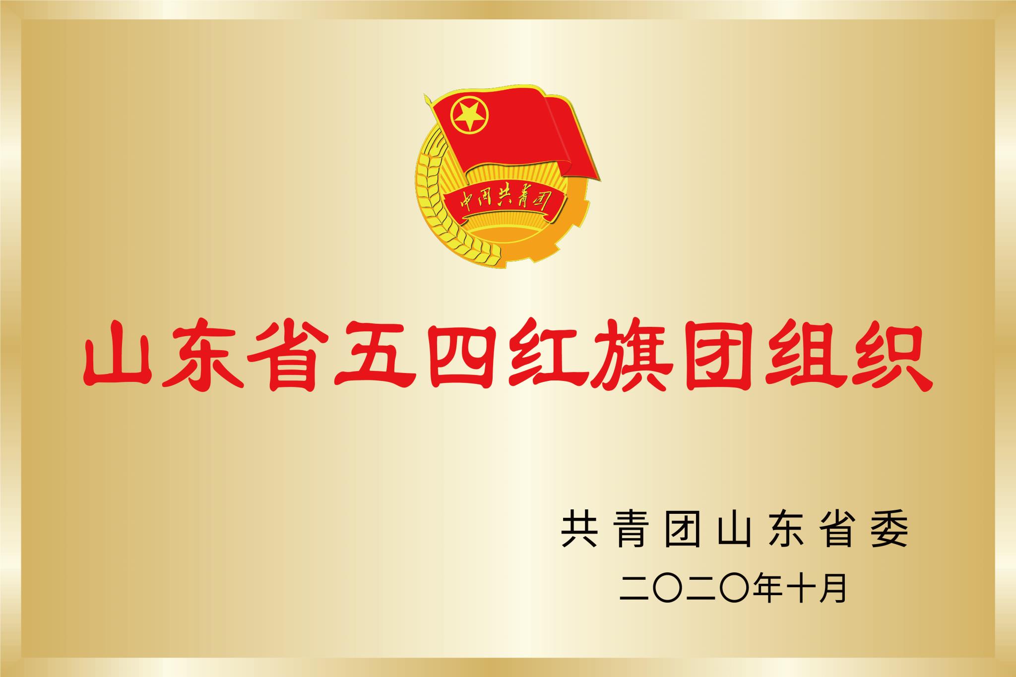 山东省五四红旗团组织