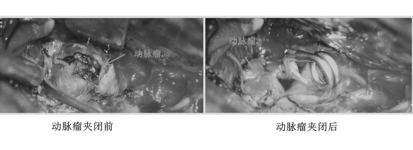 NeoImage_副本.jpg