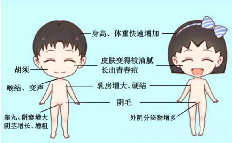 图片8.png