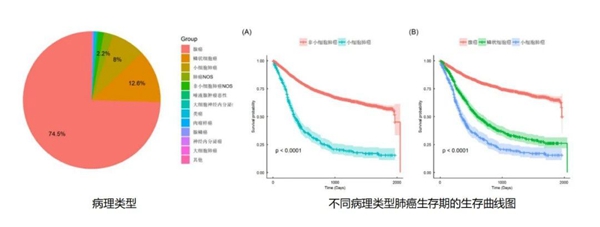 肿瘤1.jpg