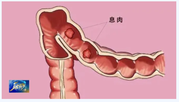 微信图片_20240530111006.png