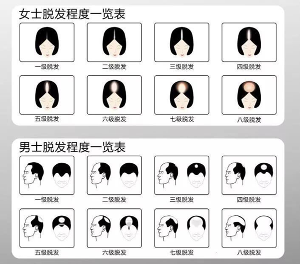 毛2.png
