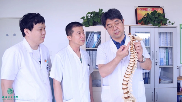 脊柱1.jpg